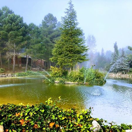 Chalet Esmeralda 3 D Y 2 Banos Zafiro Lagunazo Parque Natural Rio Mundo Riópar מראה חיצוני תמונה