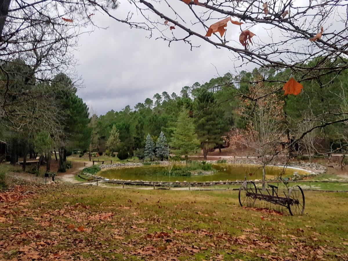 Chalet Esmeralda 3 D Y 2 Banos Zafiro Lagunazo Parque Natural Rio Mundo Riópar מראה חיצוני תמונה