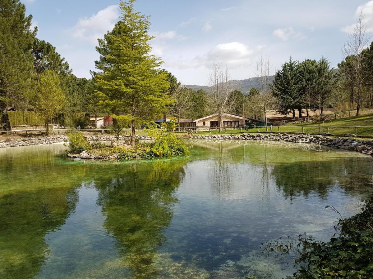 Chalet Esmeralda 3 D Y 2 Banos Zafiro Lagunazo Parque Natural Rio Mundo Riópar מראה חיצוני תמונה