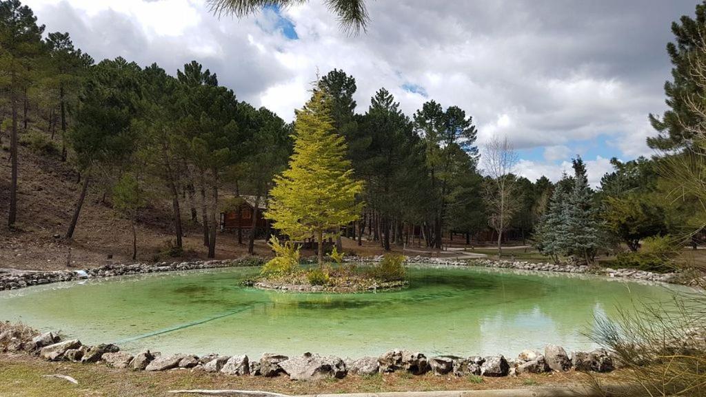 Chalet Esmeralda 3 D Y 2 Banos Zafiro Lagunazo Parque Natural Rio Mundo Riópar מראה חיצוני תמונה