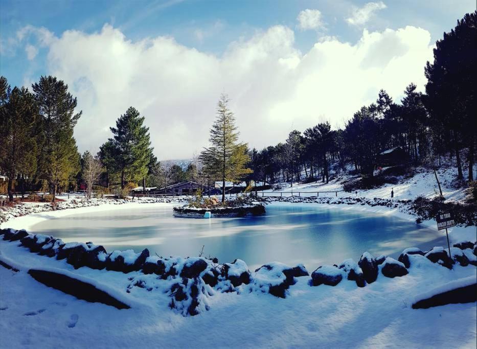 Chalet Esmeralda 3 D Y 2 Banos Zafiro Lagunazo Parque Natural Rio Mundo Riópar מראה חיצוני תמונה