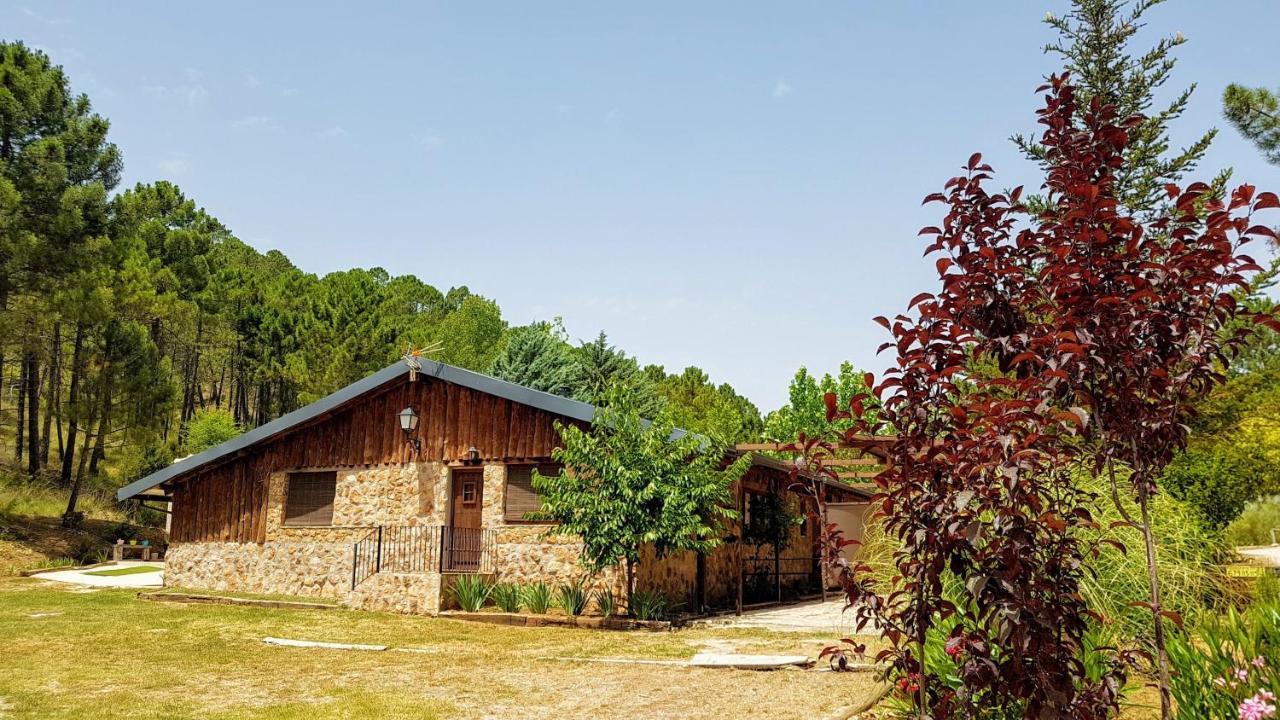Chalet Esmeralda 3 D Y 2 Banos Zafiro Lagunazo Parque Natural Rio Mundo Riópar מראה חיצוני תמונה