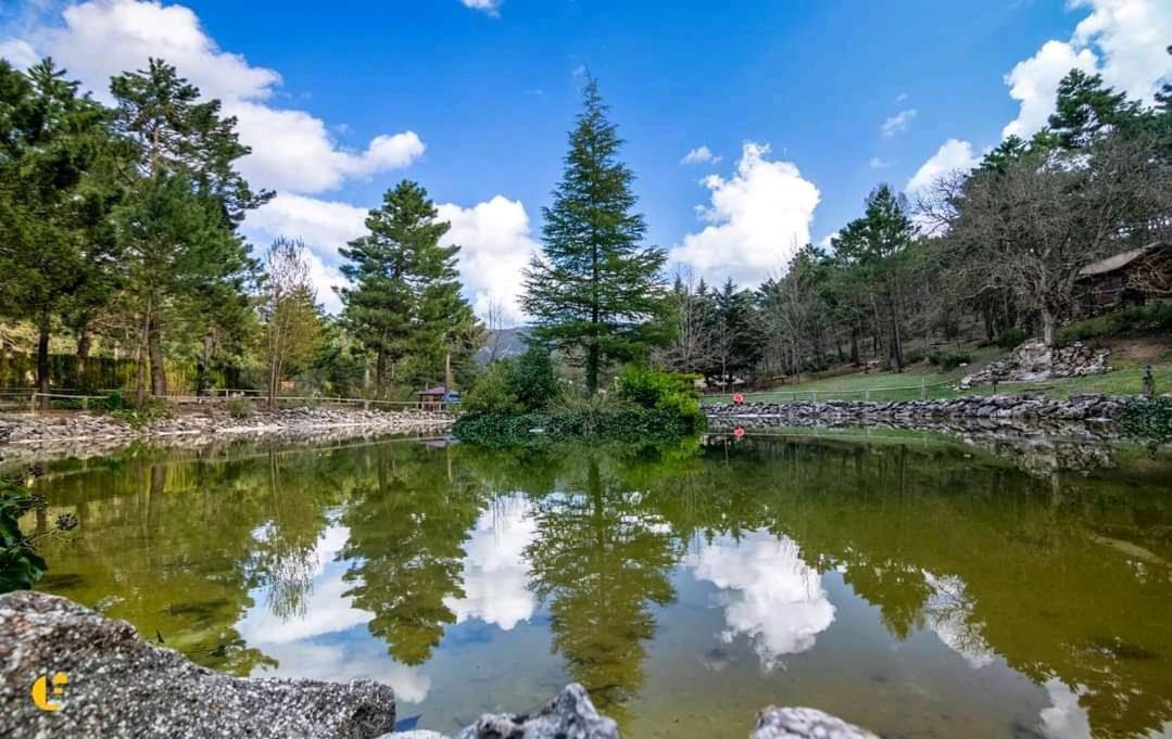 Chalet Esmeralda 3 D Y 2 Banos Zafiro Lagunazo Parque Natural Rio Mundo Riópar מראה חיצוני תמונה