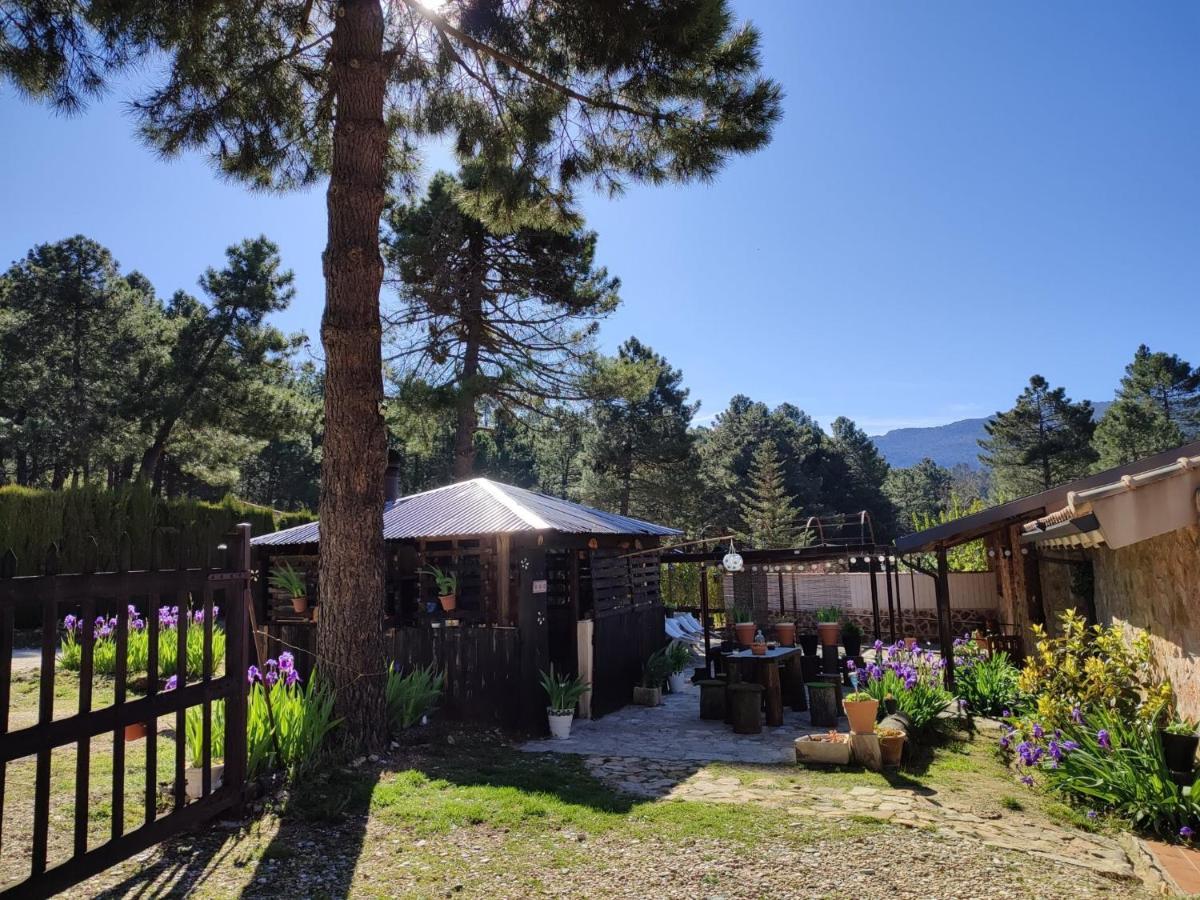 Chalet Esmeralda 3 D Y 2 Banos Zafiro Lagunazo Parque Natural Rio Mundo Riópar מראה חיצוני תמונה