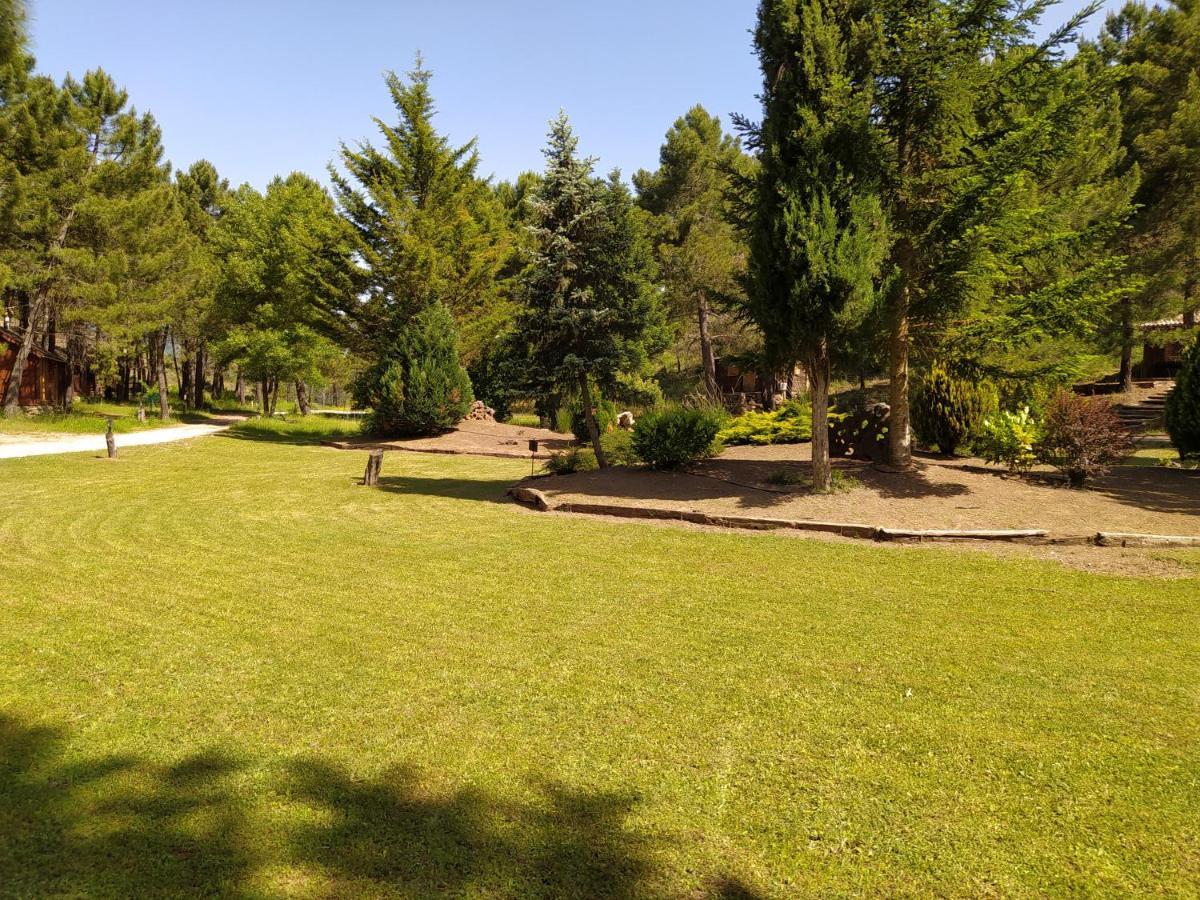 Chalet Esmeralda 3 D Y 2 Banos Zafiro Lagunazo Parque Natural Rio Mundo Riópar מראה חיצוני תמונה