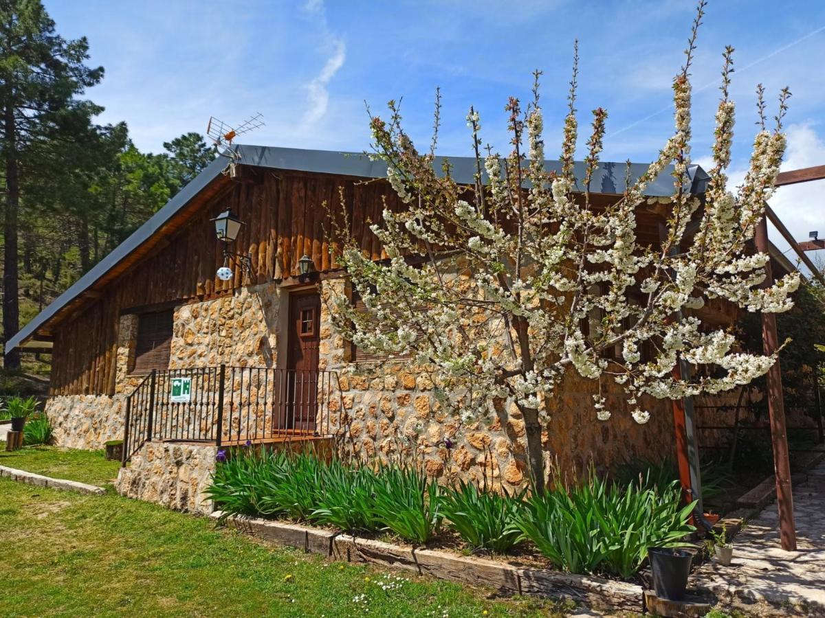 Chalet Esmeralda 3 D Y 2 Banos Zafiro Lagunazo Parque Natural Rio Mundo Riópar מראה חיצוני תמונה