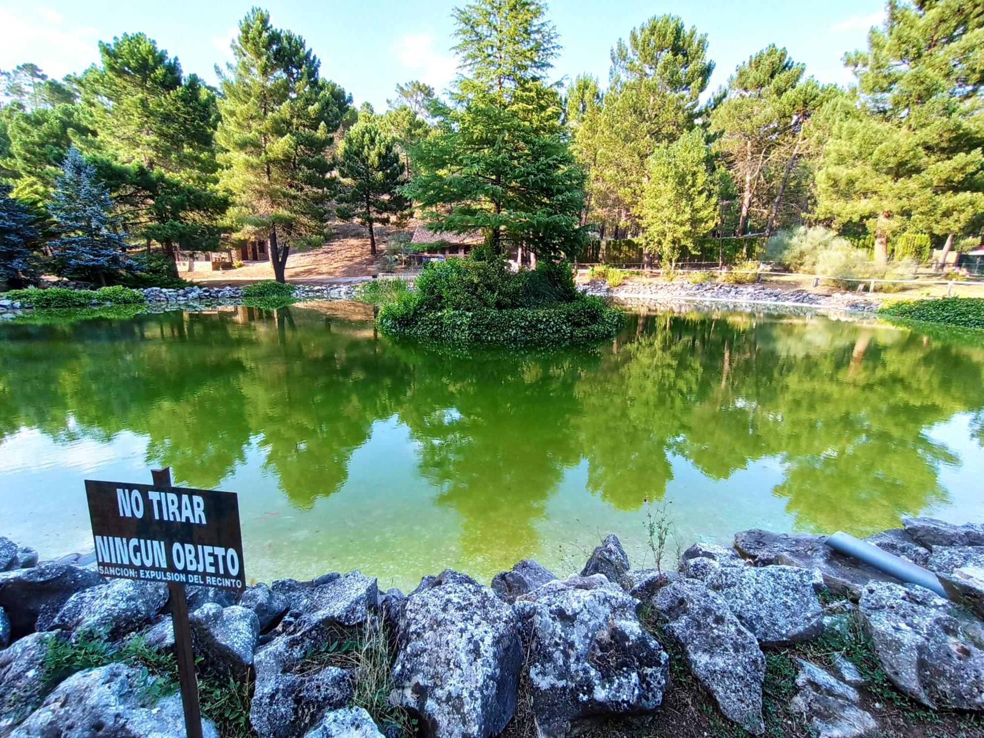 Chalet Esmeralda 3 D Y 2 Banos Zafiro Lagunazo Parque Natural Rio Mundo Riópar מראה חיצוני תמונה
