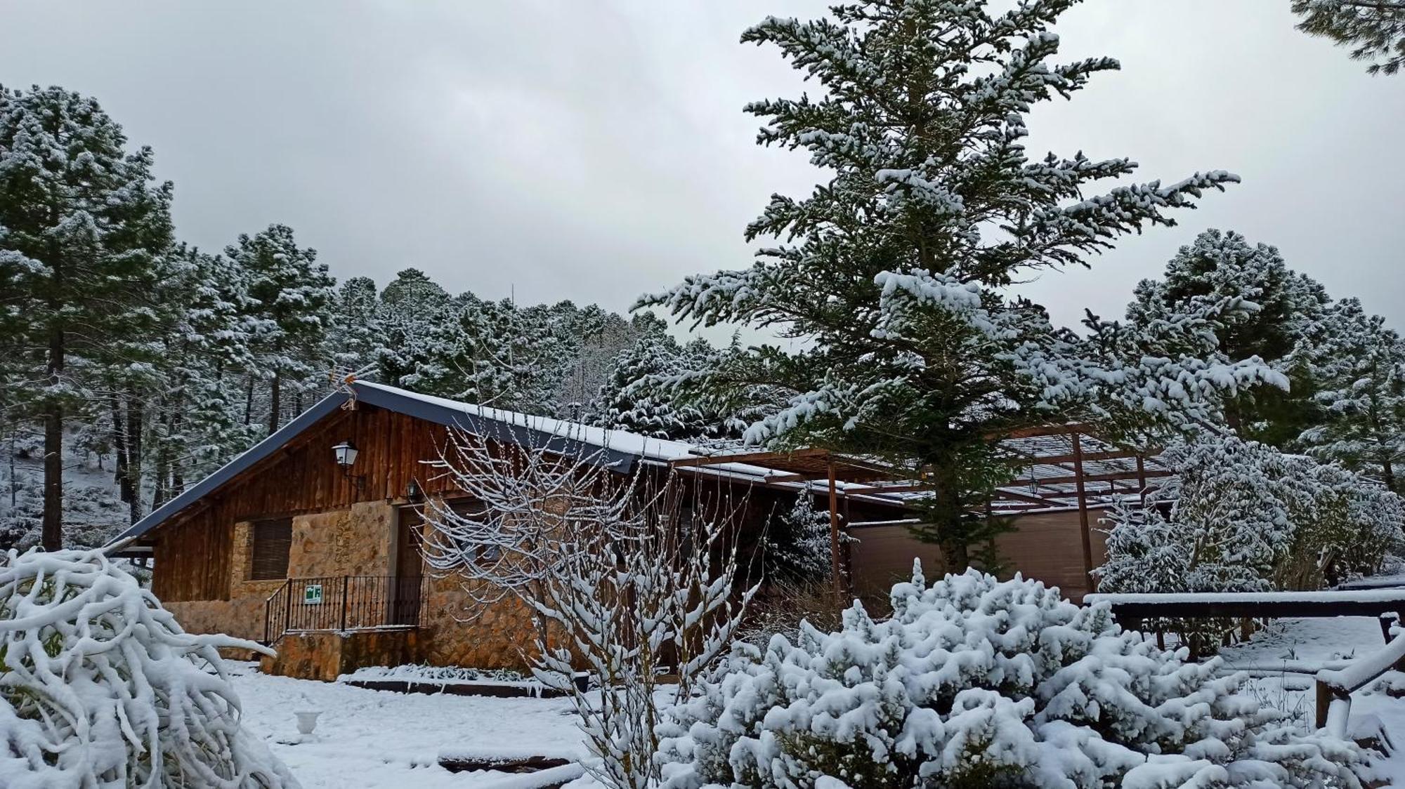Chalet Esmeralda 3 D Y 2 Banos Zafiro Lagunazo Parque Natural Rio Mundo Riópar מראה חיצוני תמונה